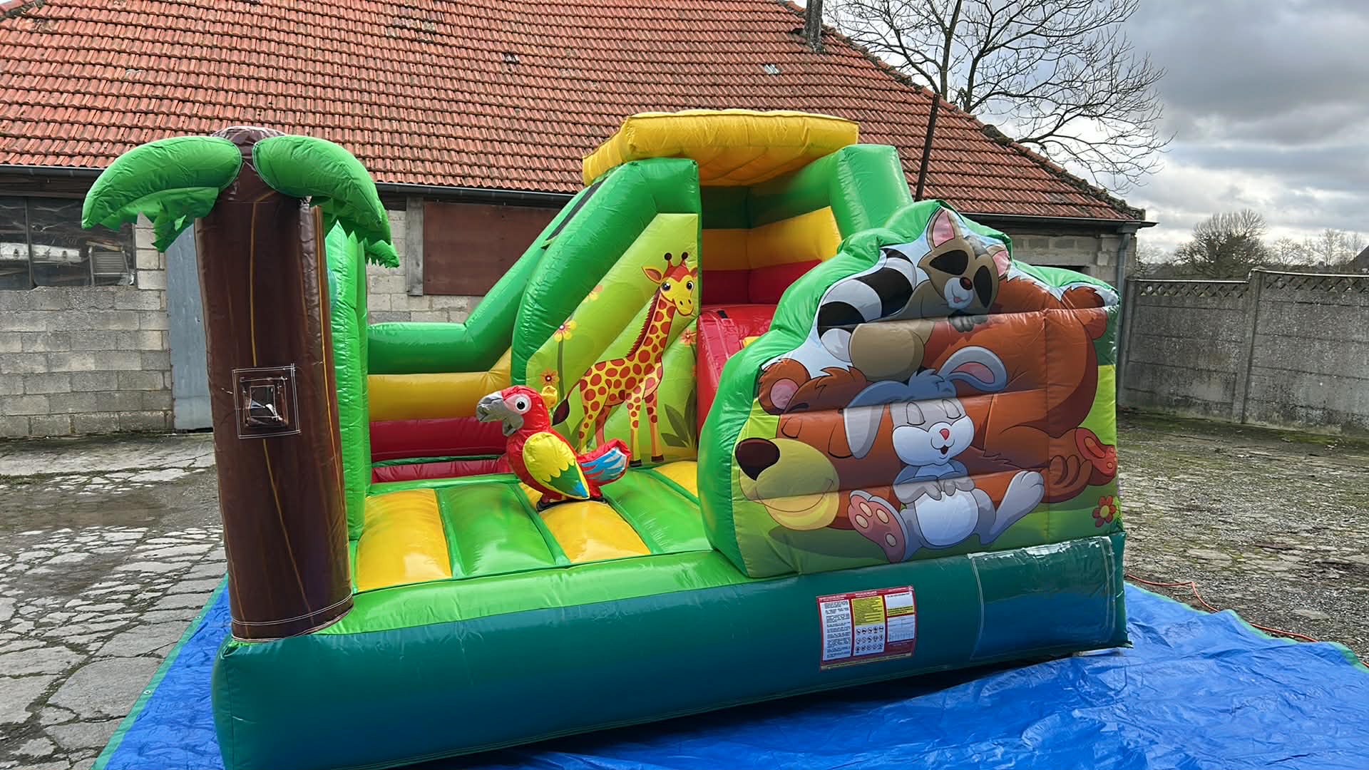 Château Jungle à louer